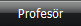 Uçuş Profesörü Uçuş Profesörü