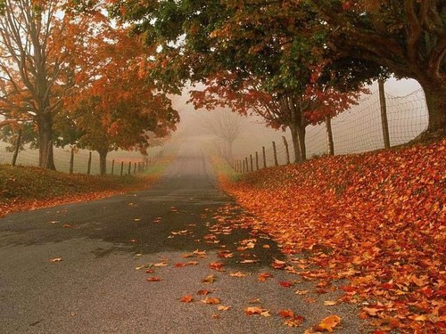 automn10.jpg