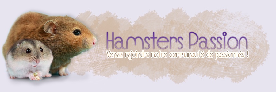 Les hamsters