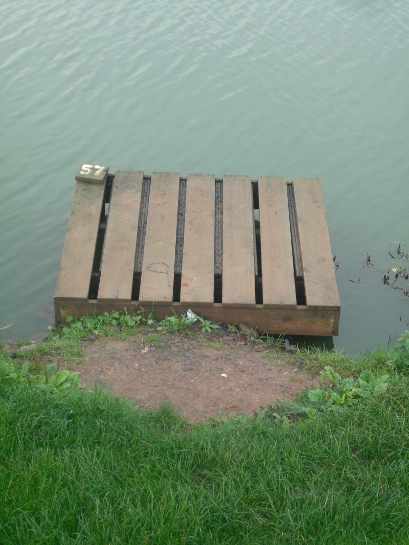 La pêche sur donou par un automne de vidéo