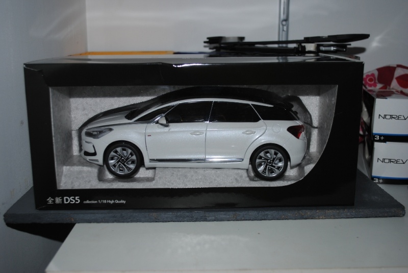 ds5 miniature