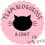 team blogueuse à chat