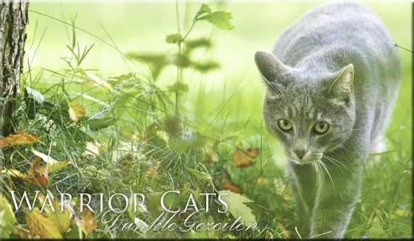 Warrior Cats - Dunkle Gezeiten