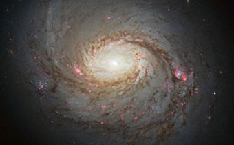 La galaxie spirale barrée NGC 1068