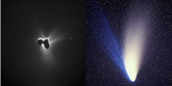 La comète 'tchouri'et la comète 'Hale-Bopp'
