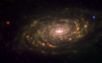 La galaxie spirale du Tournesol ou NGC 5055