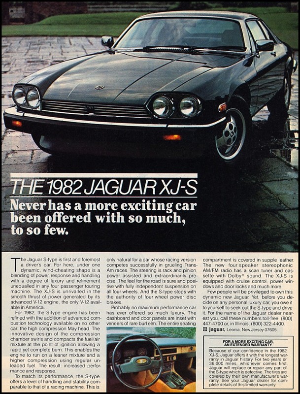 jaguar31.jpg