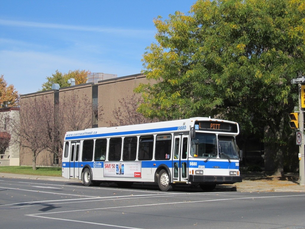 988010.jpg