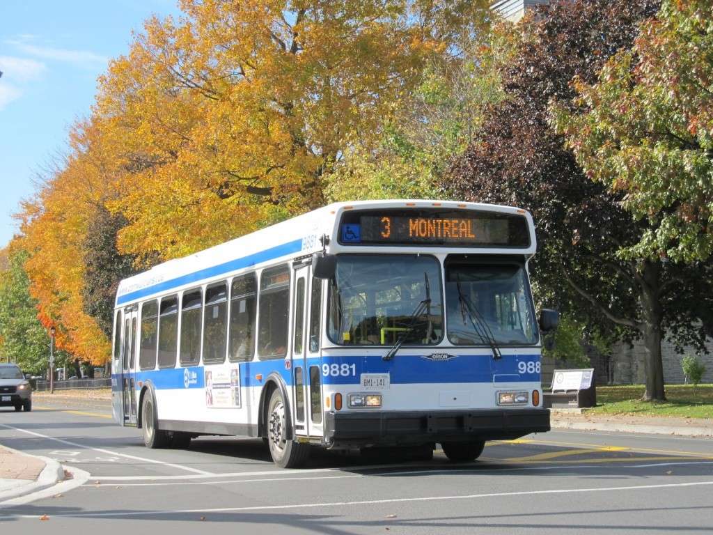 9881_e10.jpg