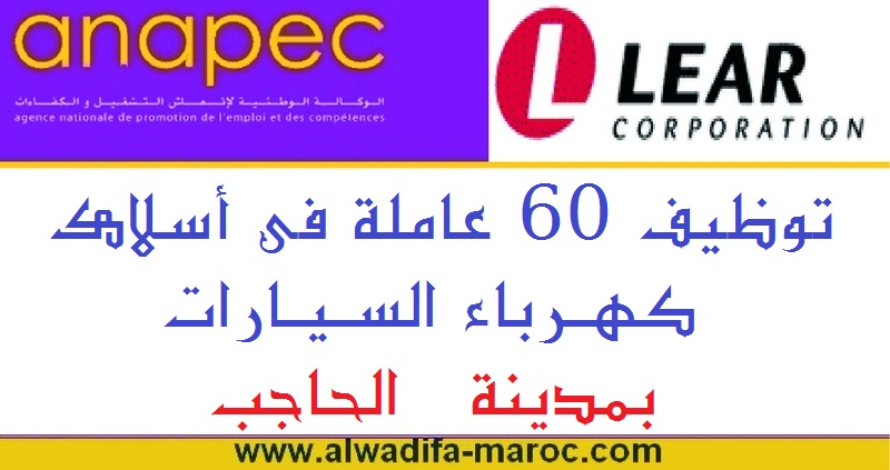 الوكالة الوطنية لإنعاش التشغيل والكفاءات: توظيف 60 عاملة في أسلاك كهرباء السيارات بمدينة الحاجب