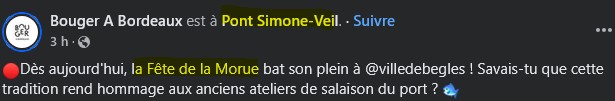 text alternatif