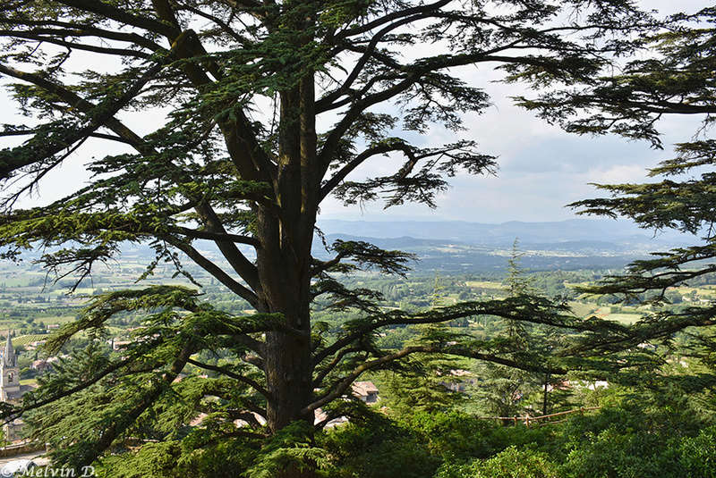 Image hébergée par servimg.com
