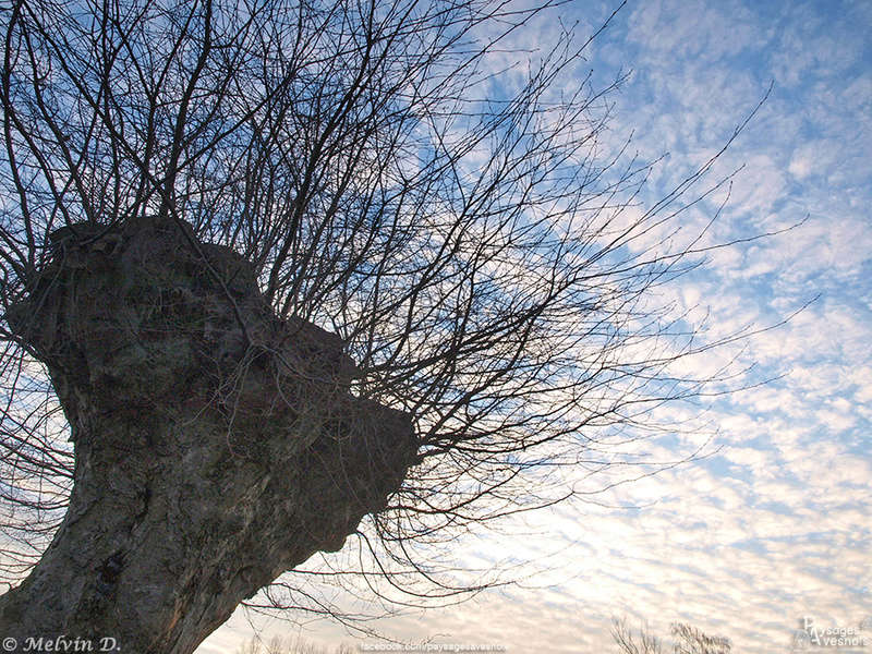 Image hébergée par servimg.com