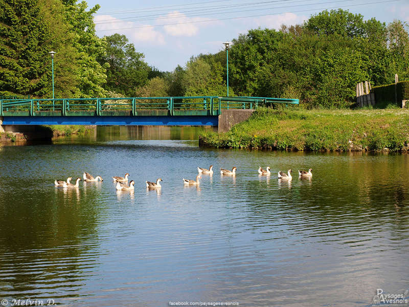 Image hébergée par servimg.com