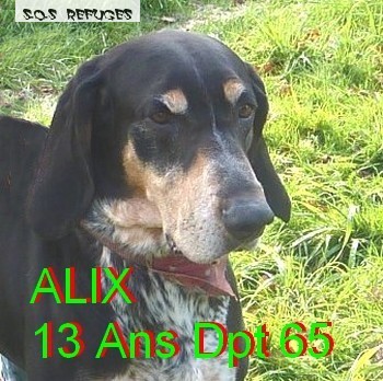 alix10.jpg