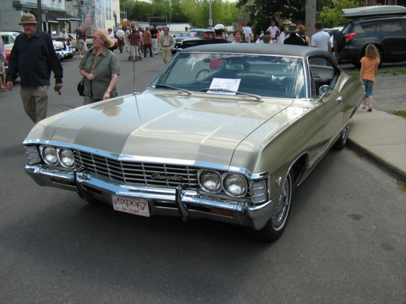 impala10.jpg