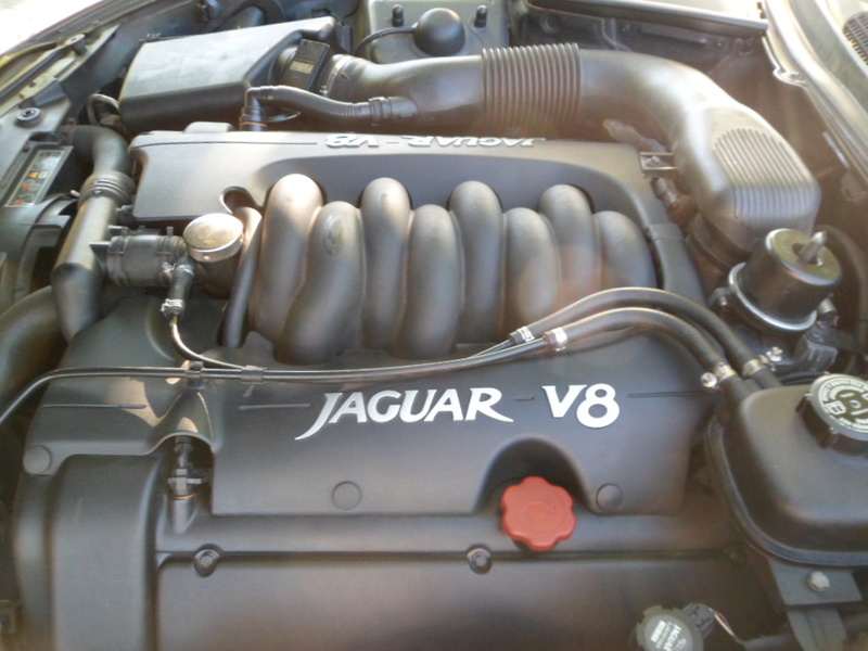 jaguar78.jpg