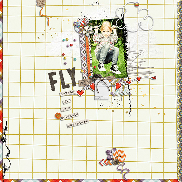 fly-6011.jpg