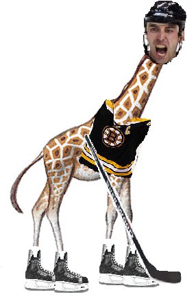 giraff10.jpg