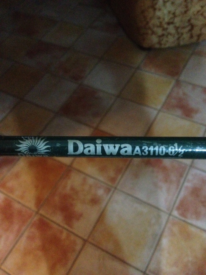 foto11.jpg