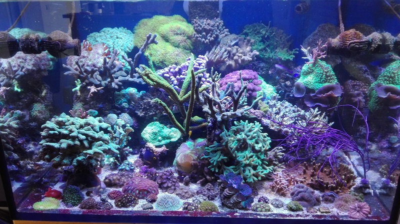 led10.jpg