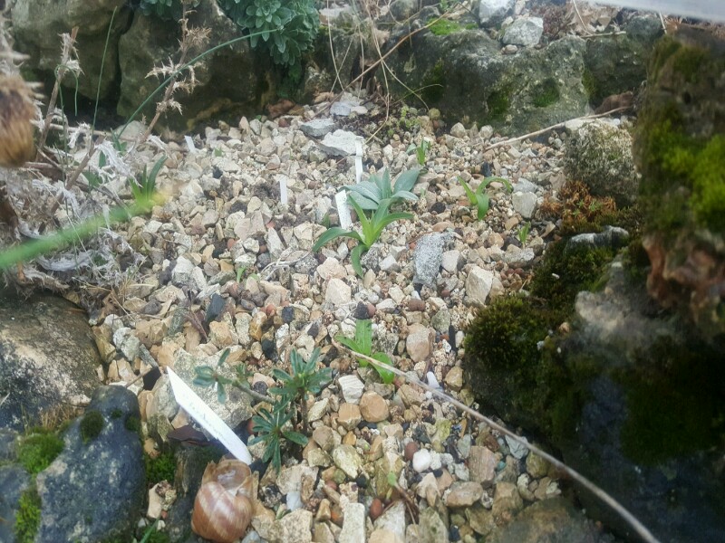 20170310.jpg