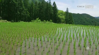 japan_11.jpg