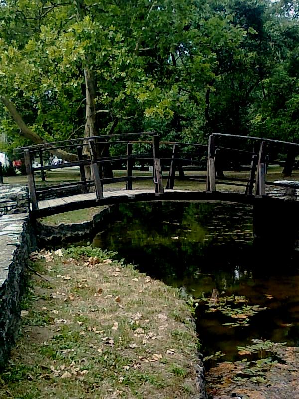 Slika