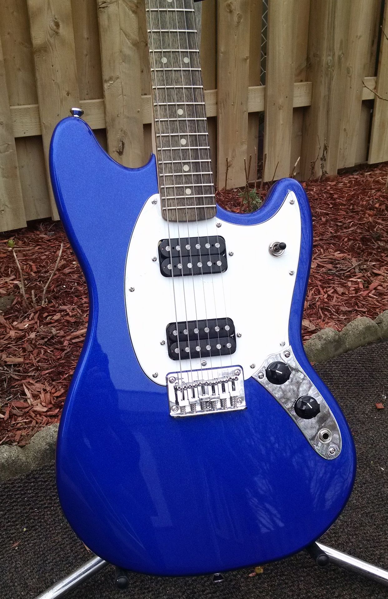 squier12.jpg