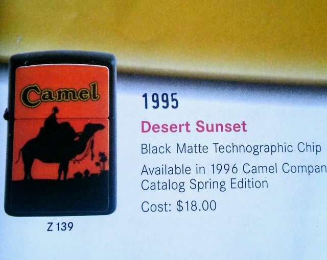 camel_11.jpg